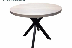 1_ST-033-Lion-kruhlyj