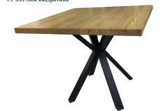 1_ST-033-Lion-kvadratnyj