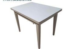 1_ST-047-2-Zheneva-bez-skla