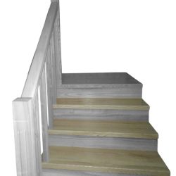 ступени ясень